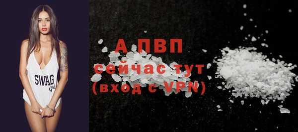 индика Бронницы
