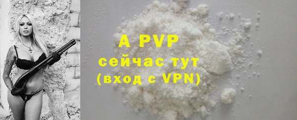 хмурый Бородино
