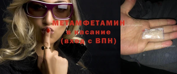 индика Бронницы