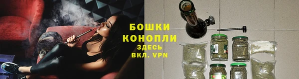 хмурый Бородино