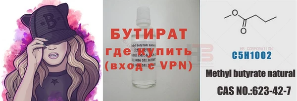 хмурый Бородино