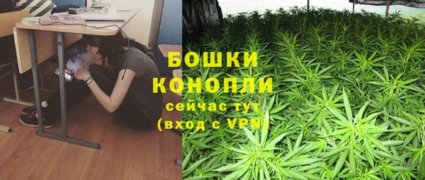 индика Бронницы