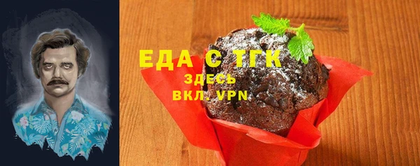 индика Бронницы