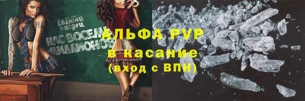 индика Бронницы