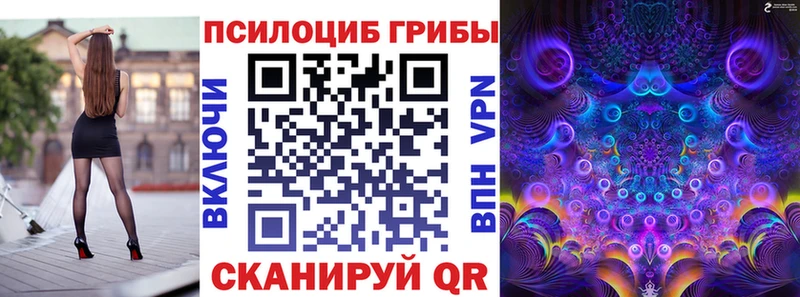 цена наркотик  Кашира  Галлюциногенные грибы Cubensis 