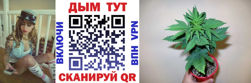 купить наркоту  Кашира  ссылка на мегу ТОР  МАРИХУАНА ГИДРОПОН 
